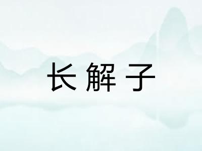 长解子
