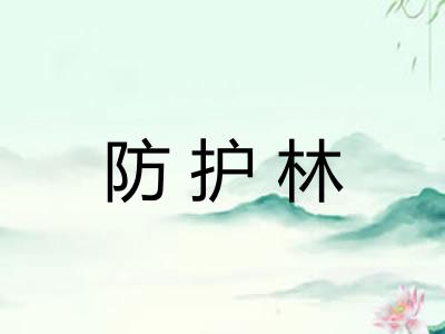 防护林