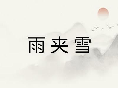 雨夹雪