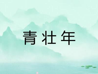 青壮年