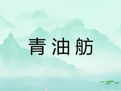 青油舫