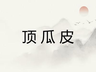 顶瓜皮