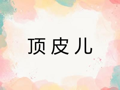 顶皮儿