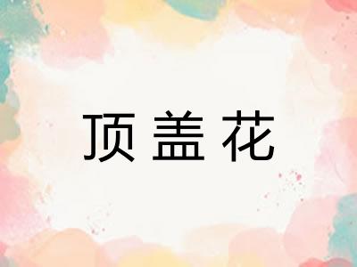 顶盖花