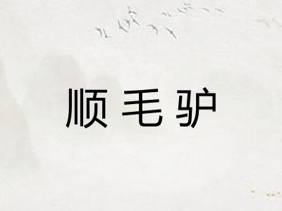 顺毛驴