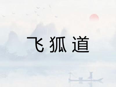 飞狐道