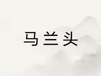 马兰头