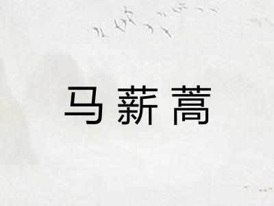 马薪蒿