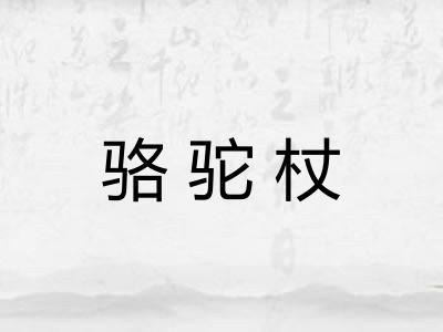 骆驼杖