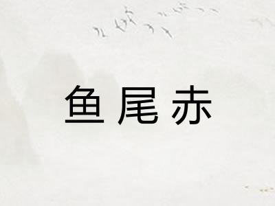 鱼尾赤