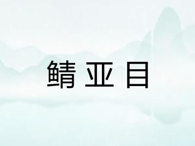 鲭亚目