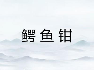鳄鱼钳