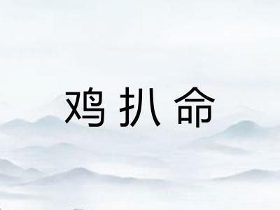 鸡扒命