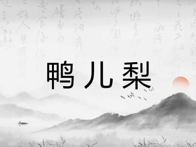 鸭儿梨