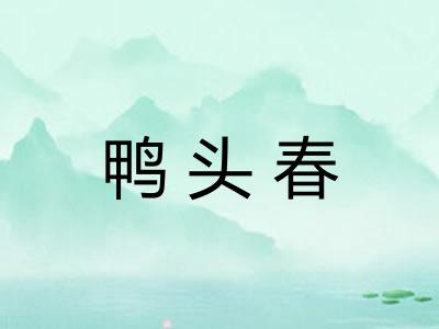 鸭头春