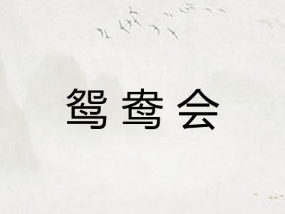 鸳鸯会