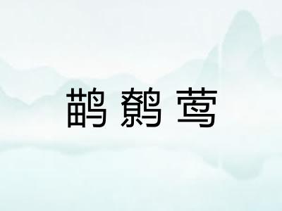 鹋鹩莺