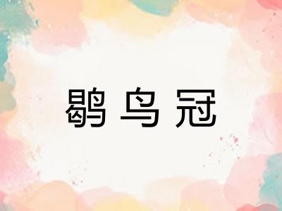 鹖鸟冠