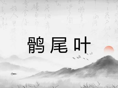 鹘尾叶
