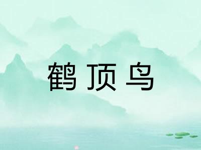 鹤顶鸟