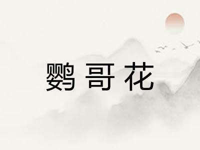 鹦哥花