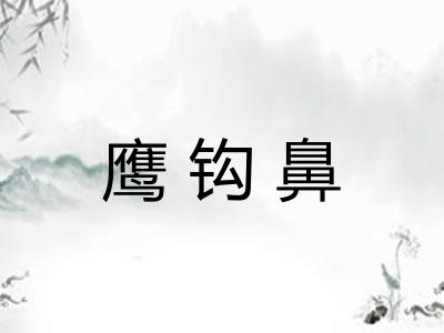 鹰钩鼻