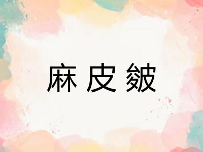 麻皮皴