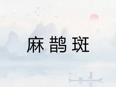 麻鹊斑