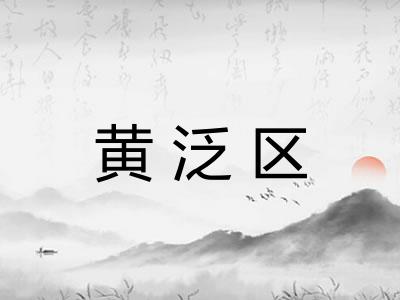黄泛区