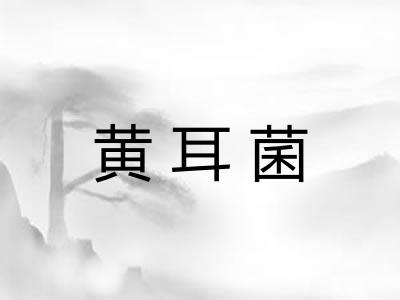 黄耳菌
