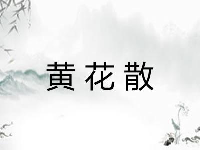黄花散