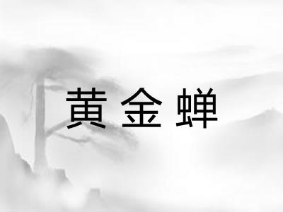 黄金蝉