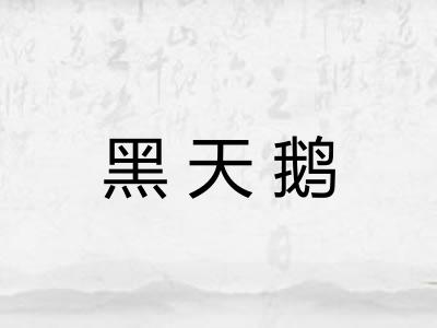 黑天鹅