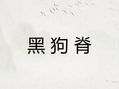 黑狗脊