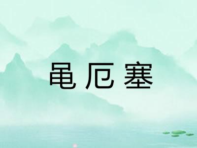 黾厄塞