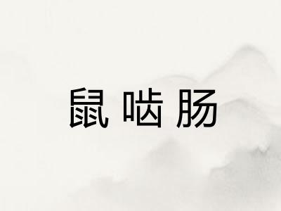 鼠啮肠