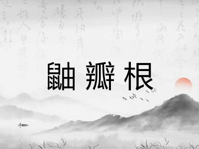 鼬瓣根