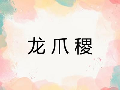 龙爪稷