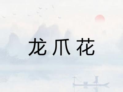 龙爪花